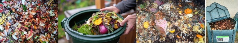 déchets alimentaires