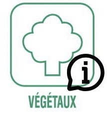 végétaux